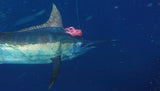 Bost #12 Ocean Cay Trolling Lure - BostLures