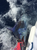 Bost #12 Ocean Cay Trolling Lure - BostLures