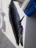 Bost #36 San Sal Wahoo Lure - BostLures