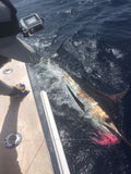 Marlin Lure Trolling Pack by Bost - Rigged or Un-Rigged - BostLures
